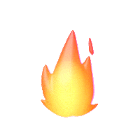 SportNexus.shop - Your Ultimate Destination for Sports Gear & Apparel